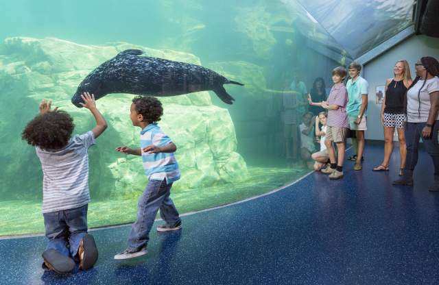 Riverbanks Zoo