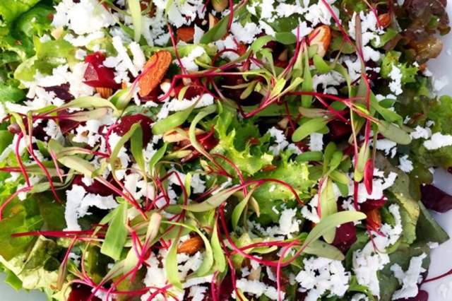 A Foodie's Fresh Favorites: Must Try Summer Seasonal Dishes and Menus in Columbia SC