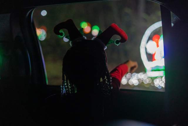 Shine Bright: Holiday Light Shows in Columbia SC