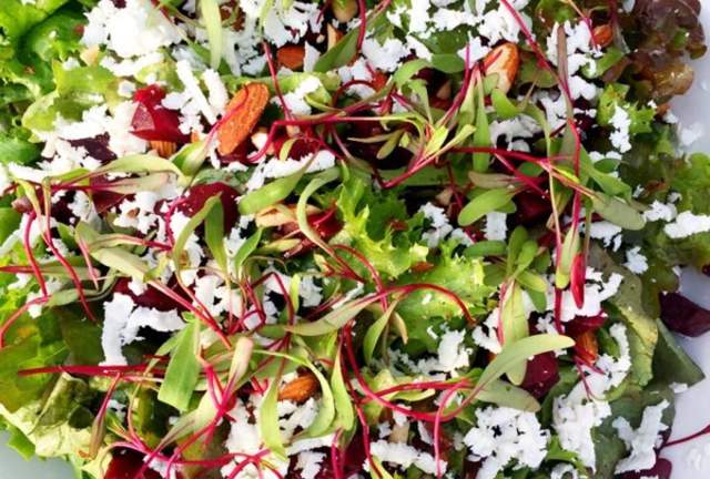 A Foodie's Fresh Favorites: Must Try Summer Seasonal Dishes and Menus in Columbia SC