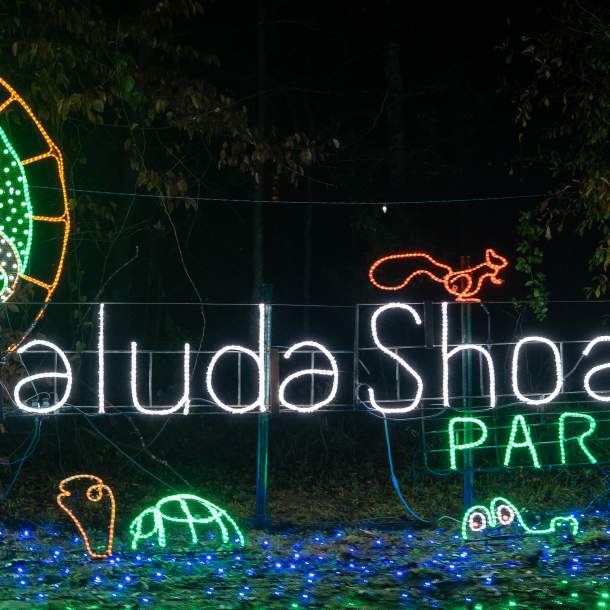 Holiday lights sign for Saluda Shoals