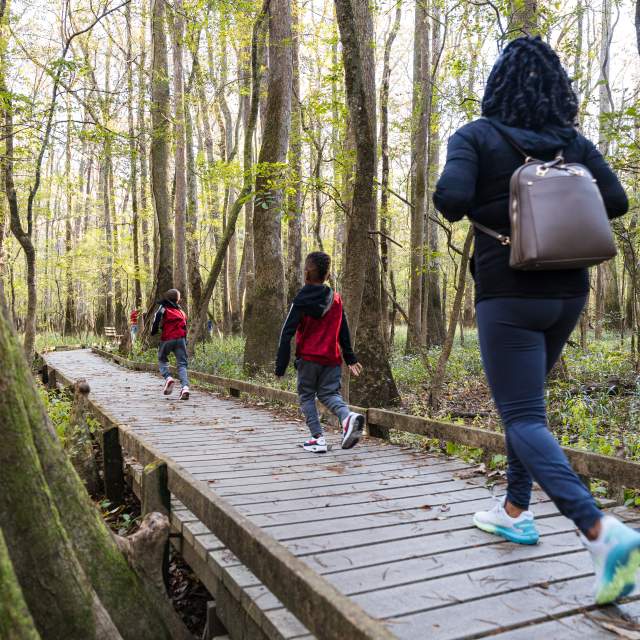 Hiking