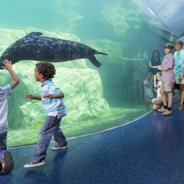 Riverbanks Zoo