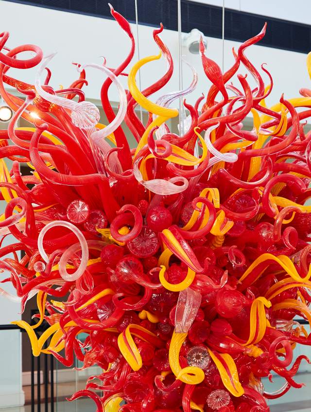 Hot January Highlights: Cuisine, Cosplay and MLK Jr. Day