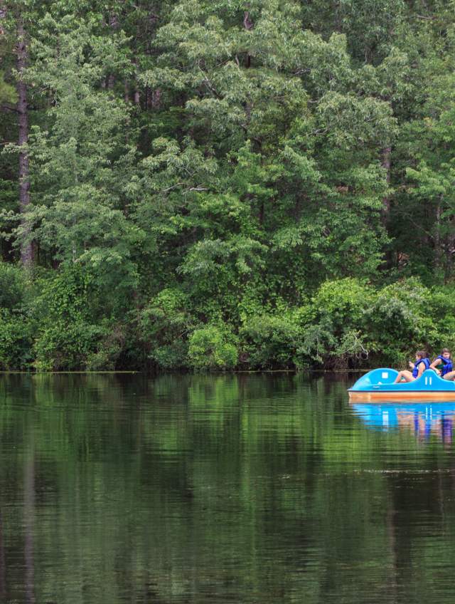 Paddle boat at Sesqui Park