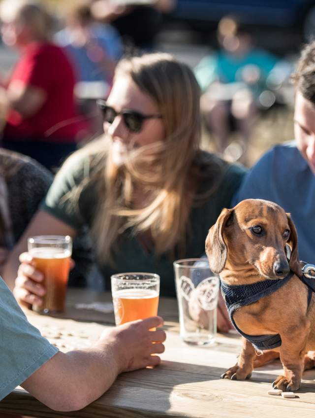 Hot September Highlights: Cultural Festivals, Culinary Fun and Carolina Football
