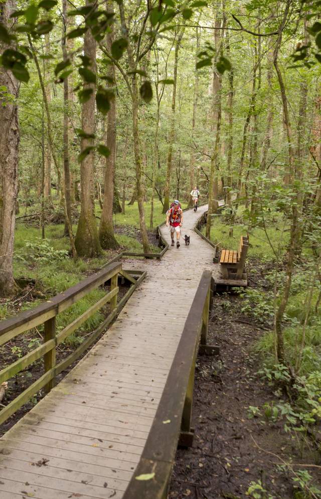 Congaree NP