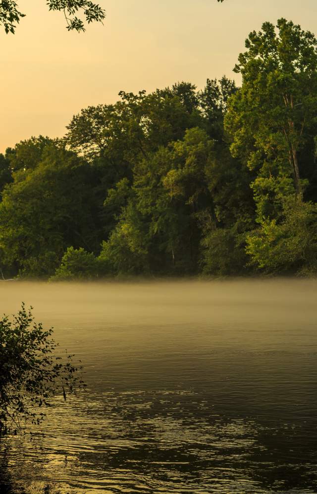 CVB River