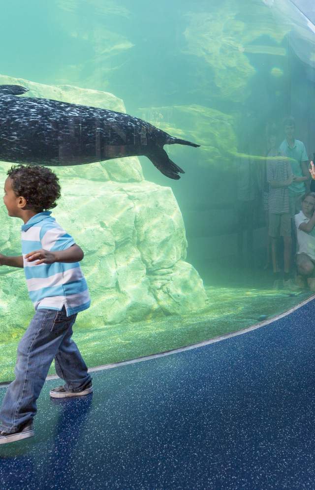 Riverbanks Zoo