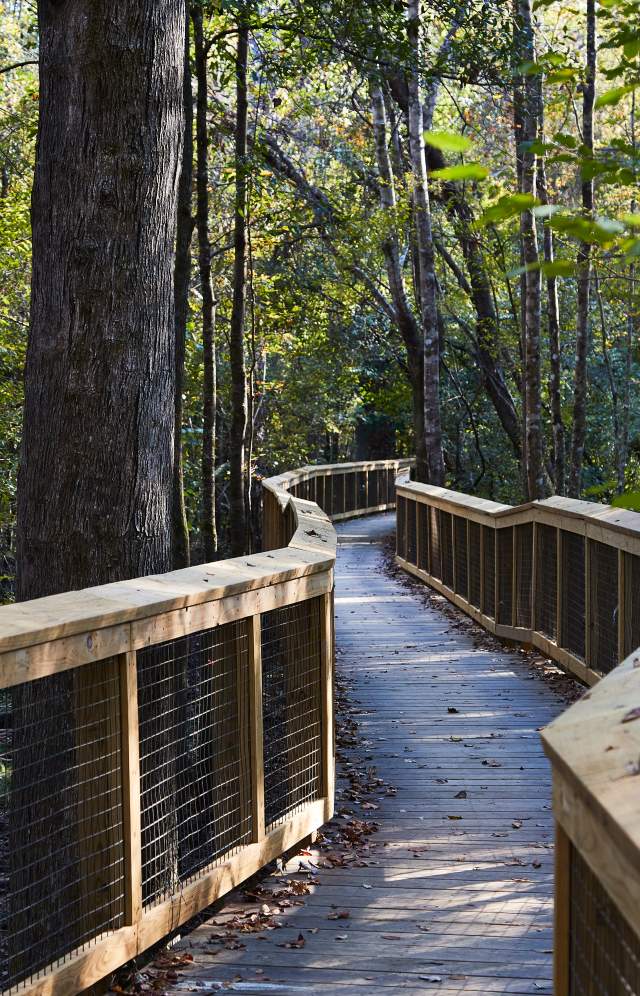 Congaree National Park Boardwalk