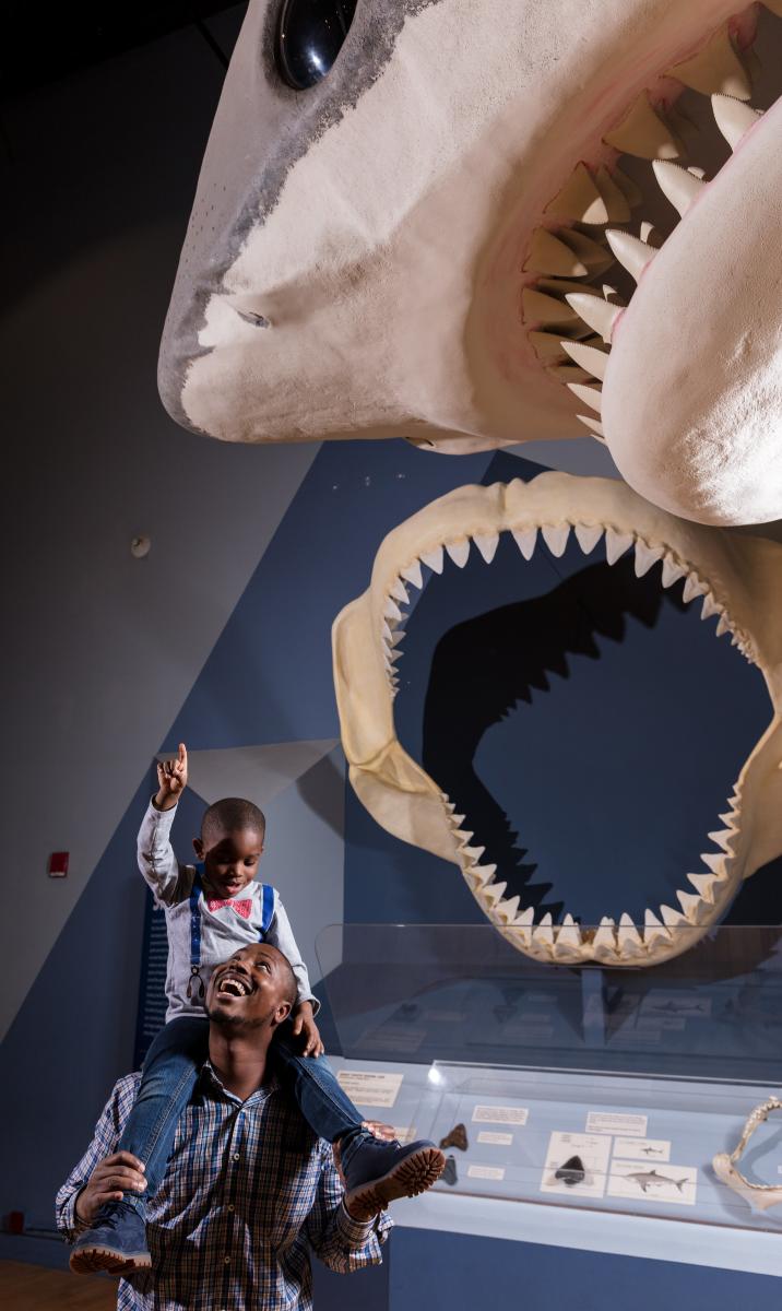 South Carolina State Museum