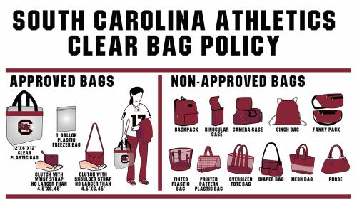A graphic describing the size and style of clear bags acceptable for entry.