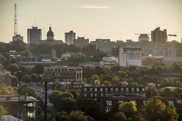 Skyline with Adluh daylight