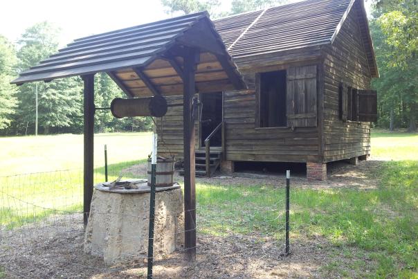 Goodwill-Plantation
