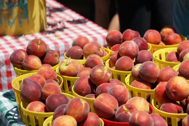 Peaches in basket at farmers market