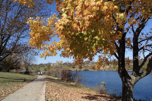 Walking trail by a river in fall