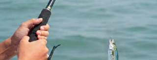 Kids Fishing Tournament @ Manatee Street Boat Ramp
