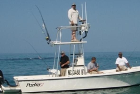 best striped bass fly reel Buy Striped Bass, Albie Reels Online