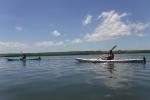 Kayak the Salt Marsh @ Gallents Channel
