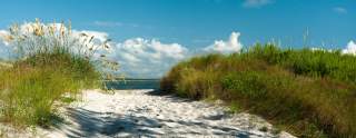Dunes and Beach