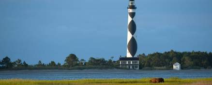 Cape Lookout - Lighthouse with Horse