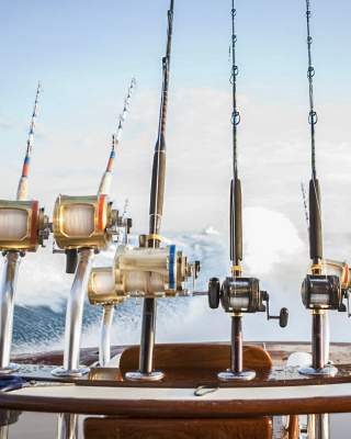 Fishing Rods