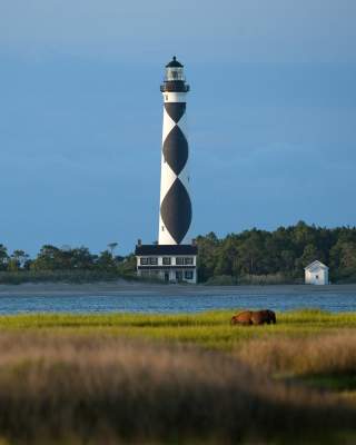 Cape Lookout - Lighthouse with Horse