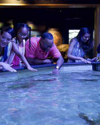 NC Aquarium at Pine Knoll Shores Water Tank