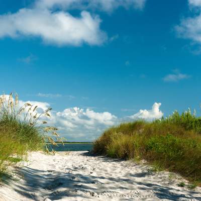 Dunes and Beach