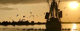 Fishing boat at sunset