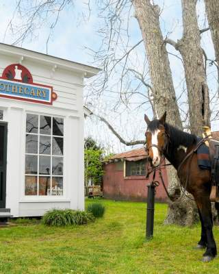 Beaufort Historic Site Apothecary
