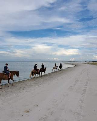 Cedar Island Resort Horseback Riding