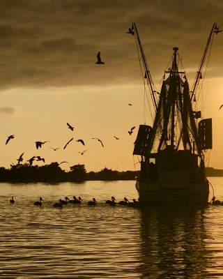 Fishing boat at sunset