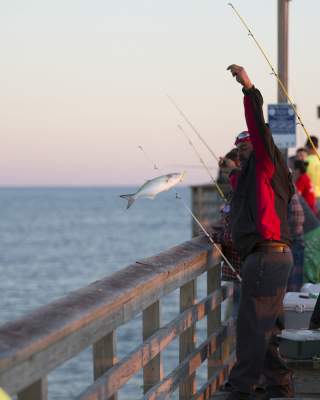 People fishing on the pier