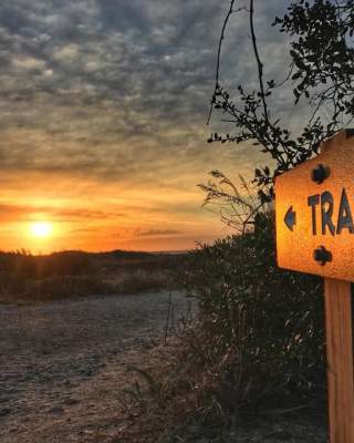 Hiking Trail at Fort Macon