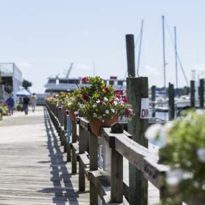 Beaufort