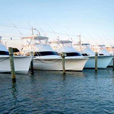 multiple boats docked with the sun setting in the background