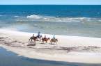 Horseback riding on the beach