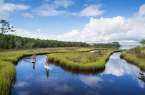 SUP in the marsh