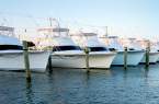 charter boats
