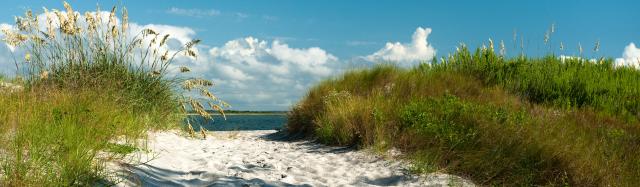 Dunes and Beach