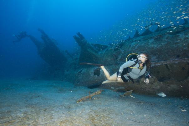 diving blog cover