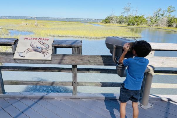 The Savvy Mama Lifestyle NC Aquarium Wetlands