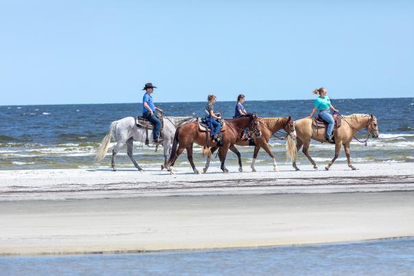 Horseback riding in Cedar Island