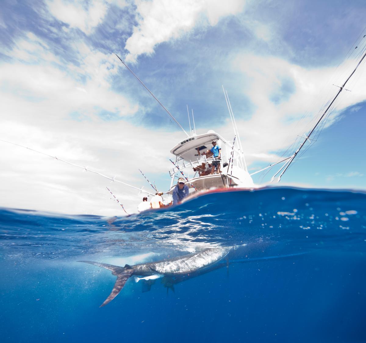 Deep Sea Fishing