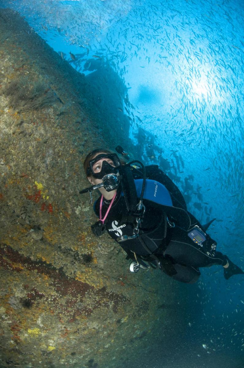 vertical diver