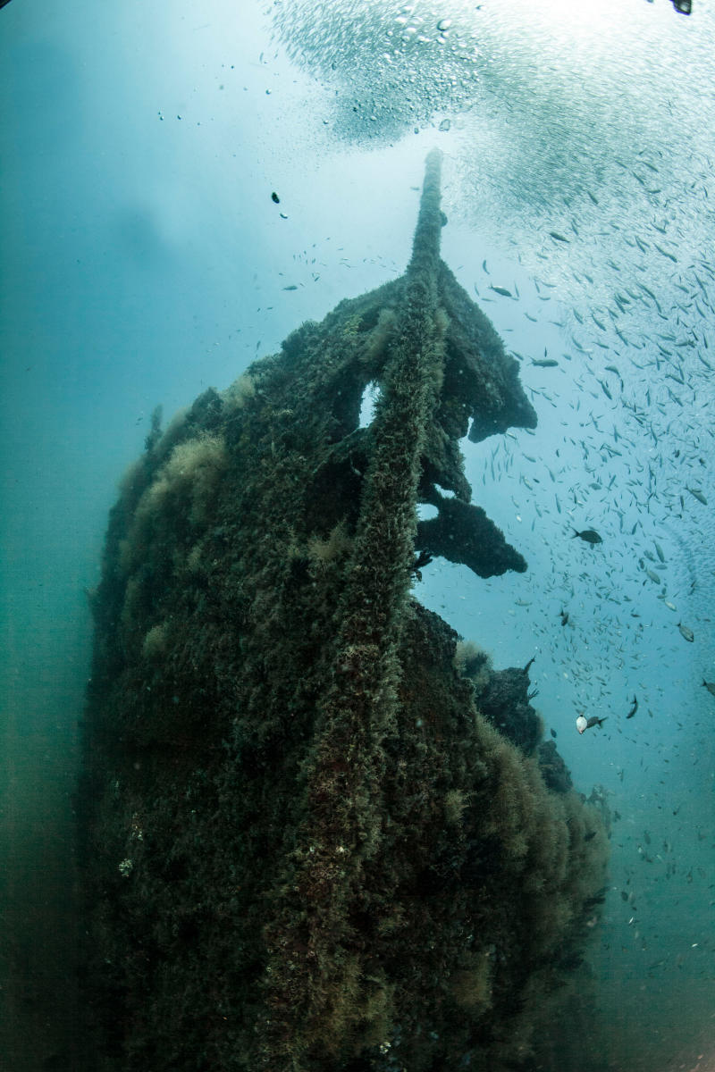 Diving Site