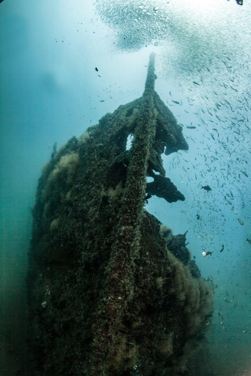 Vertical Ship