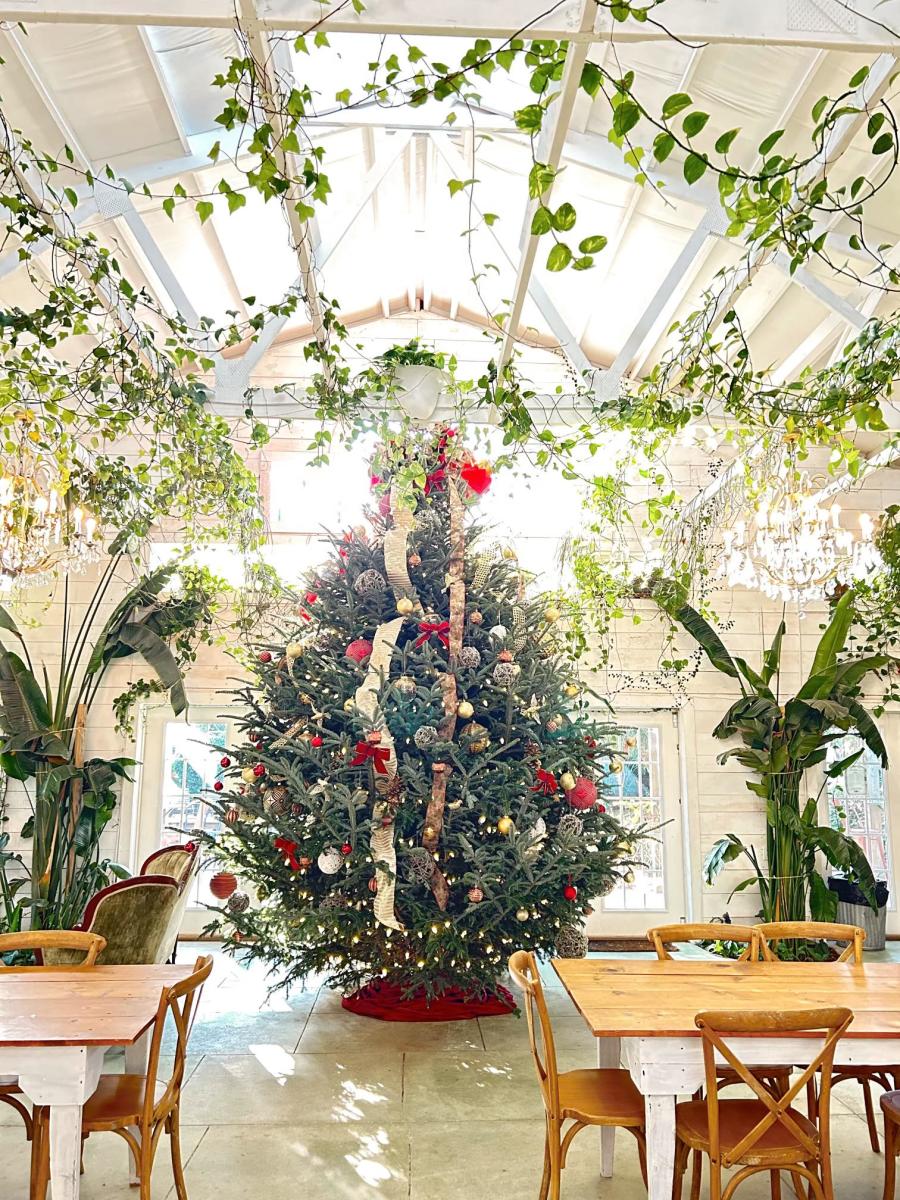 Carolina Home & Garden Christmas Tree