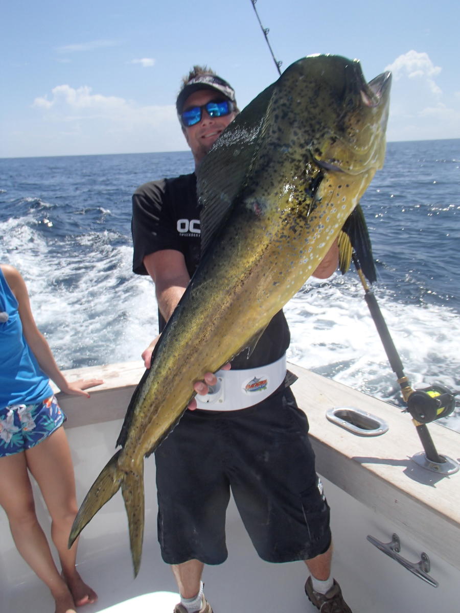Dolphinfish